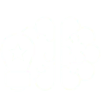 Mentor oder Coach für Webdesign